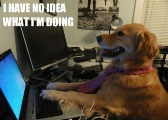 i_have_no_idea_what_i_m_doing